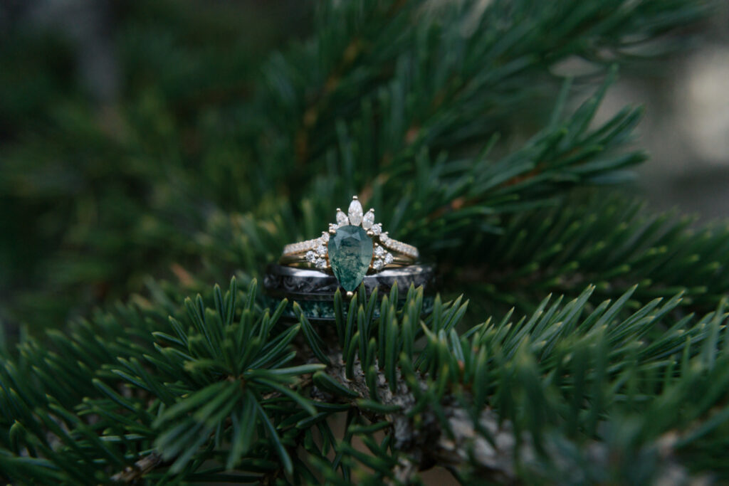 Beluga Point Elopement Wedding, Wedding ring in tree